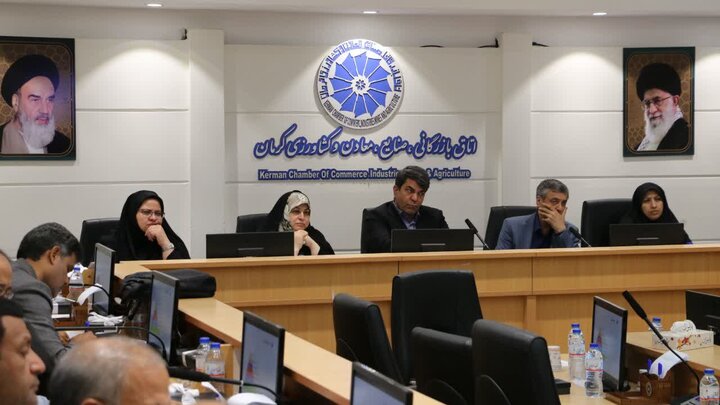 آغاز مسیر تازه هم افزایی دولت و بخش خصوصی در استان کرمان آغاز مسیر تازه هم افزایی دولت و بخش خصوصی در استان کرمان