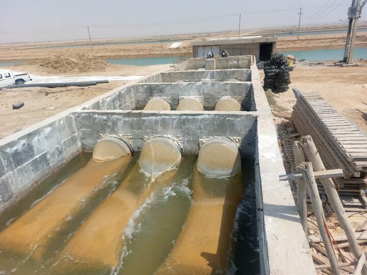 اجرای طرح پایلوت کنترل و پیشگیری از بیماریهای میگو در بردستان اجرای طرح پایلوت کنترل و پیشگیری از بیماریهای میگو در بردستان