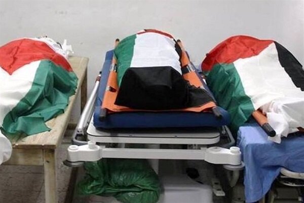 انتقال پیکر ۵۴ شهید فلسطینی به بیمارستانی در غزه انتقال پیکر ۵۴ شهید فلسطینی به بیمارستانی در غزه