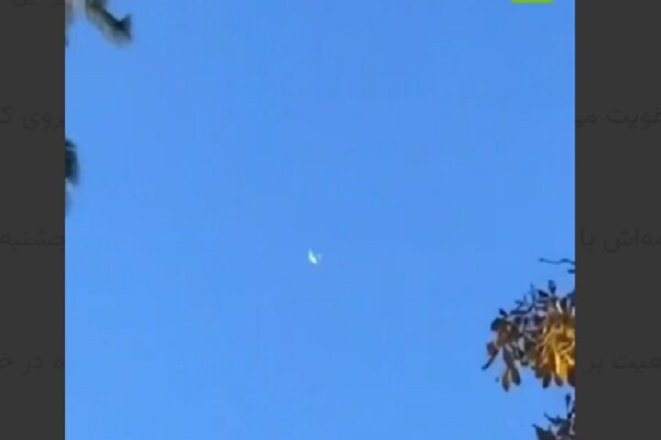 سقوط هواپیما در ایالت میشیگان آمریکا؛ ۳ نفر کشته شدند+ فیلم سقوط هواپیما در ایالت میشیگان آمریکا؛ ۳ نفر کشته شدند+ فیلم