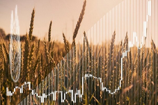 بریکس در مسیر تبدیلشدن به قطب جهانی امنیت غذایی بریکس در مسیر تبدیلشدن به قطب جهانی امنیت غذایی