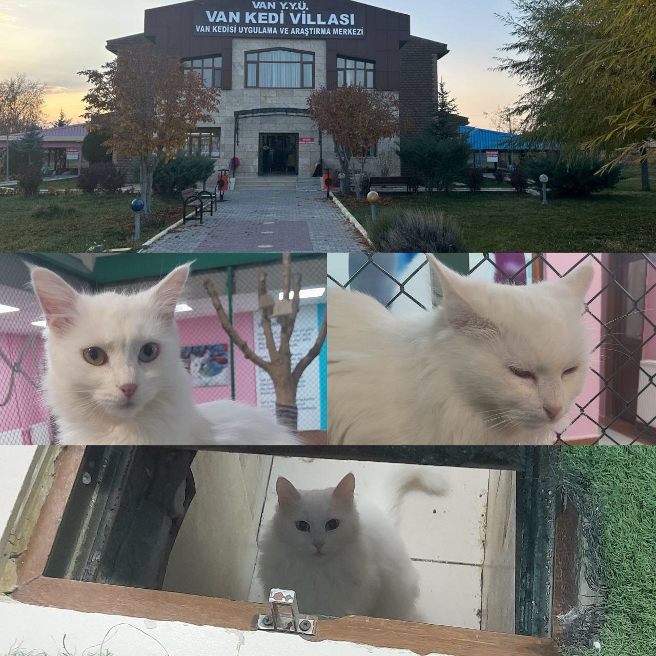 سفر به «وان»؛ دروازه ورود فرهنگی و اقتصادی ایران به ترکیه