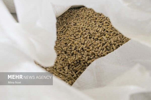 پیشنهاد تشکلهای نهاده دامی برای ساماندهی بازار از تأمین تا توزیع پیشنهاد تشکلهای نهاده دامی برای ساماندهی بازار از تأمین تا توزیع