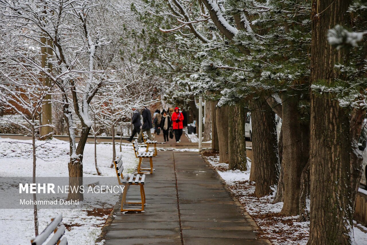 نفوذ موج جدید بارشها به کشور از خلیج فارس؛ هشدار کولاک برف و سیلاب نفوذ موج جدید بارشها به کشور از خلیج فارس؛ هشدار کولاک برف و سیلاب