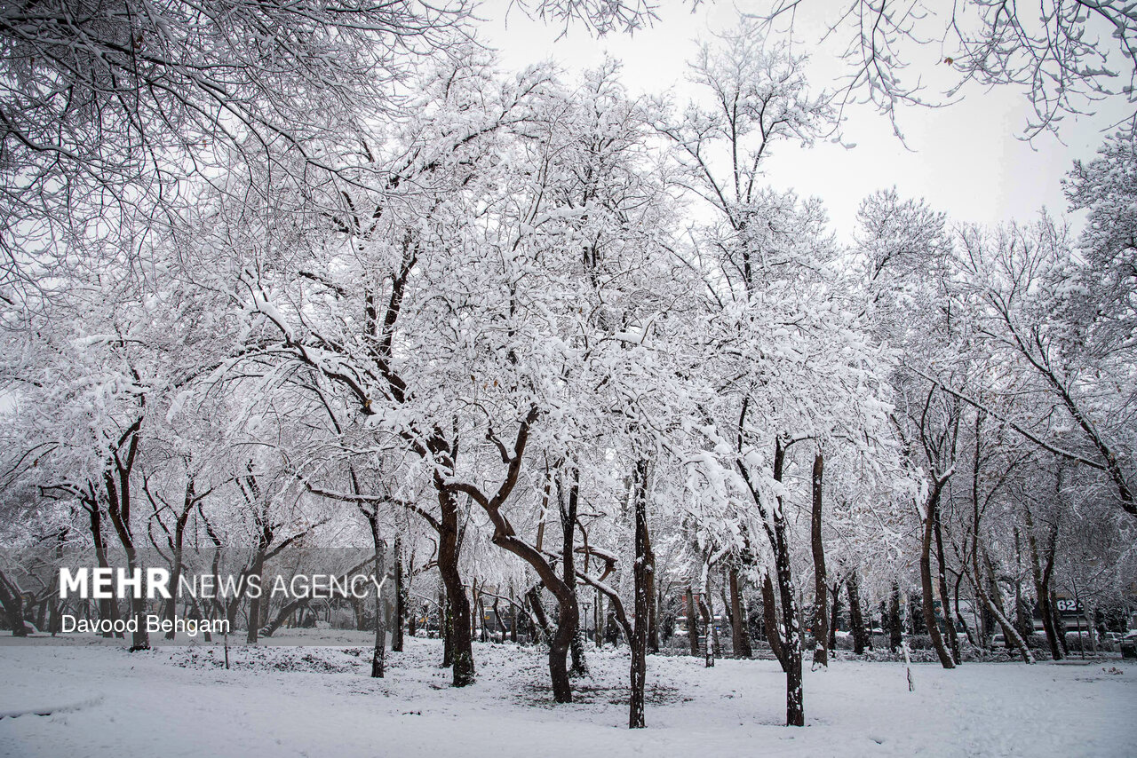 ورود سامانه بارشی جدید از امشب؛ کاهش ۷ درجهای دما در پایتخت ورود سامانه بارشی جدید از امشب؛ کاهش ۷ درجهای دما در پایتخت