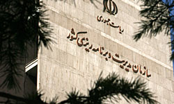 سازمان مدیریت