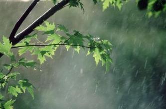 جزئیات بارندگیهای ۲۴ ساعت گذشته در لرستان/ بارشها به ۱۵۷ میلی متر رسید
