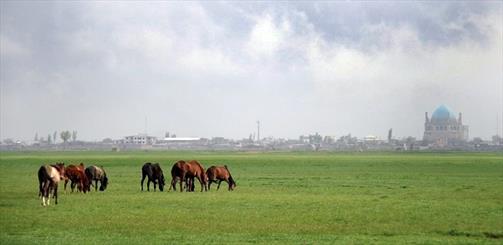 تفرجگاههای طبیعی زنجان