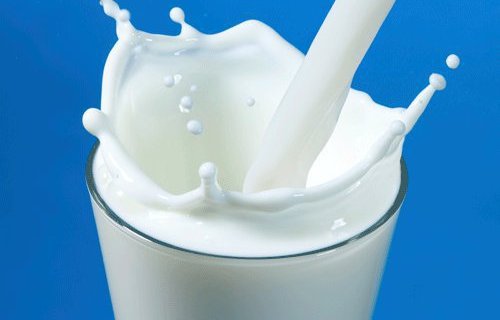 قیمت شیر دامداران