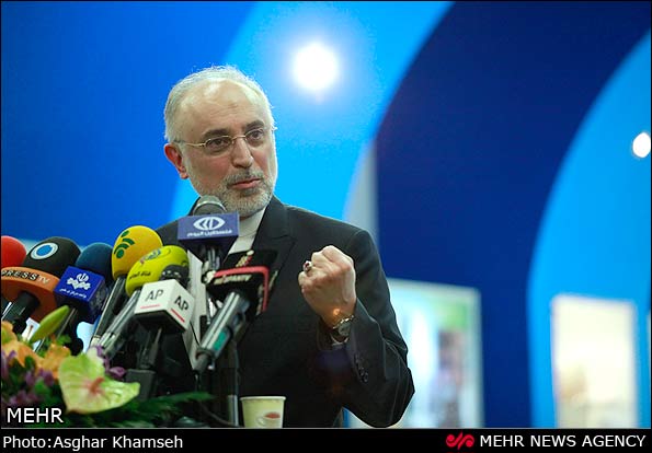 علی اکبر صالحی رئیس سازمان انرژی هسته ای 