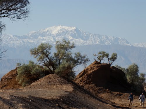 نبکا کویر کرمان