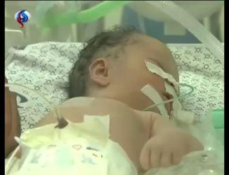 نوزاد غزه