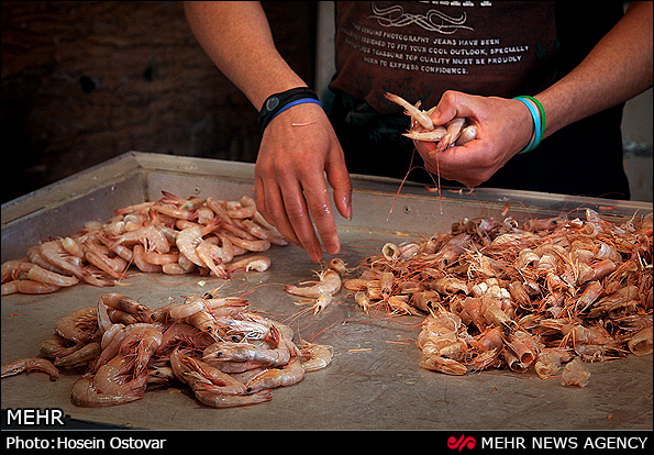 بازار ماهی و میگو فروشان بوشهر 