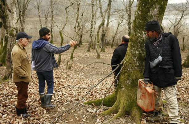 ماهی و گربه