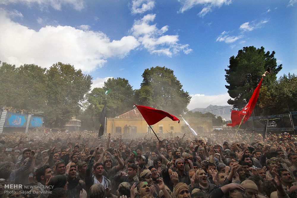 از آیین «خاکی» تا عاشقانه «افلاکی»/ آب حیات من است خاک سر کوی تو