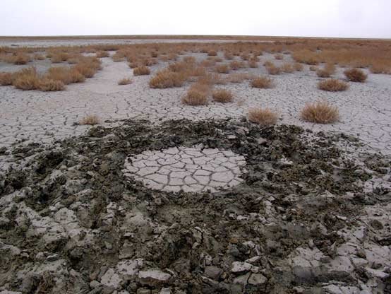 محرومیت یزدیها از حقابه گاوخونی/تالابی که بوی مرگ میدهد