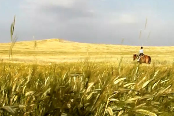 فیلم یعقوب فرزند جرگلان به جشنواره بین المللی سینما حقیقت راه یافت/ برگزاری کارگاه مستندسازی