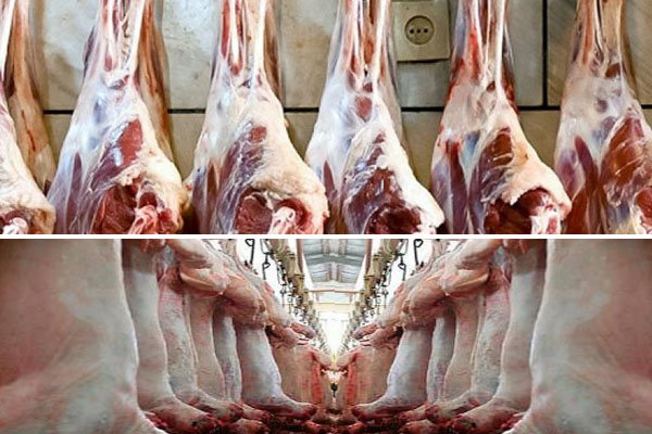 تولید گوشت قرمز در خراسان شمالی۳.۴ درصد افزایش یافت