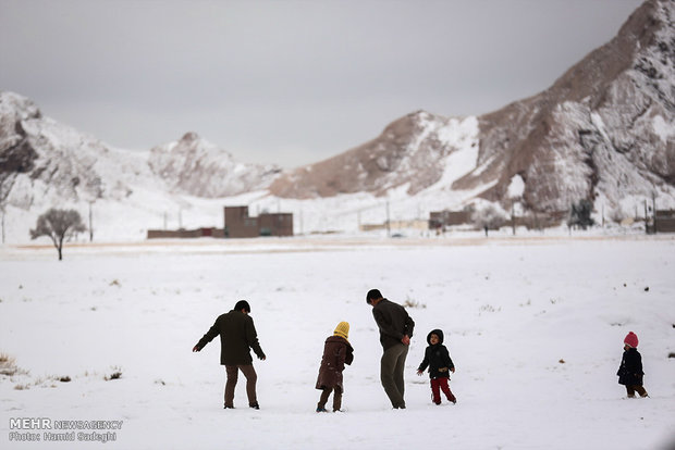 بارش برف در کرمان