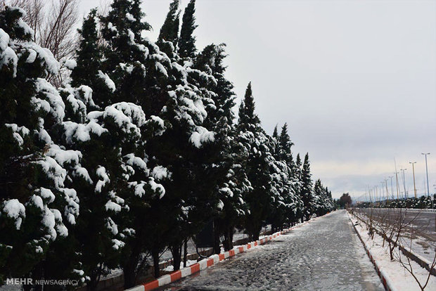 بارش برف در سیرجان 