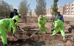 دستور میرزاده برای کاشت درخت در دانشگاه آزاد