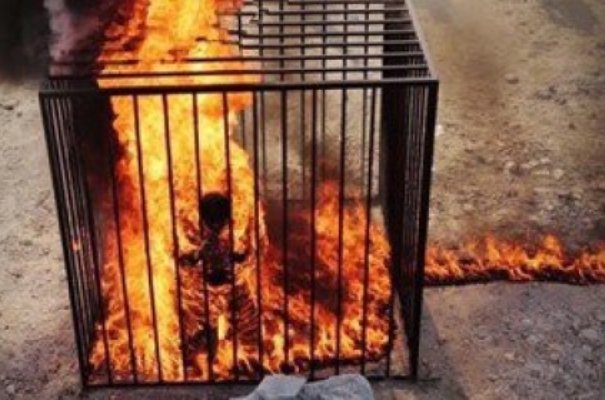 فیلم/ جنایت داعش در به آتش کشیدن  خلبان اردنی