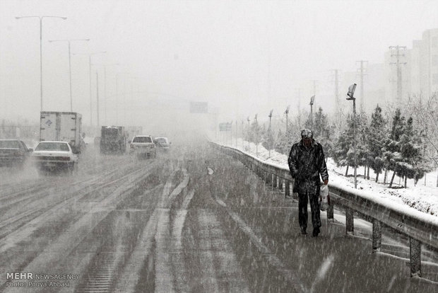 فیلم/ بارش برف رانندگان را در جاده چالوس غافلگیر کرد