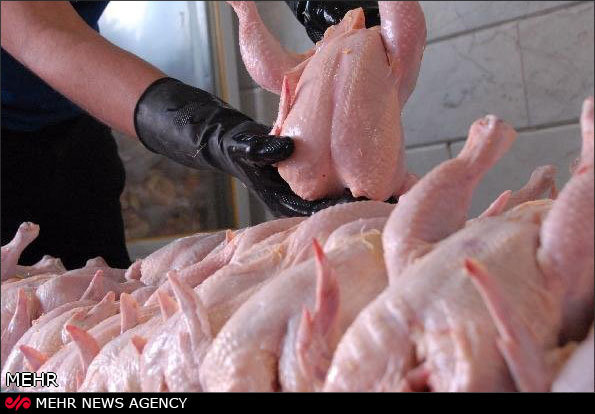 تولید۵۴ هزار تن گوشت مرغ تا پایان سال جاری در استان مرکزی
