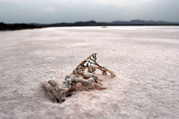 دریاچه نمک قم قابلیت احیا دارد/ شوره زاری با آینده‌ای شیرین