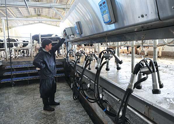 ۶۴۰ تن شیرخام دامداران آذربایجان شرقی خرید تضمینی شد
