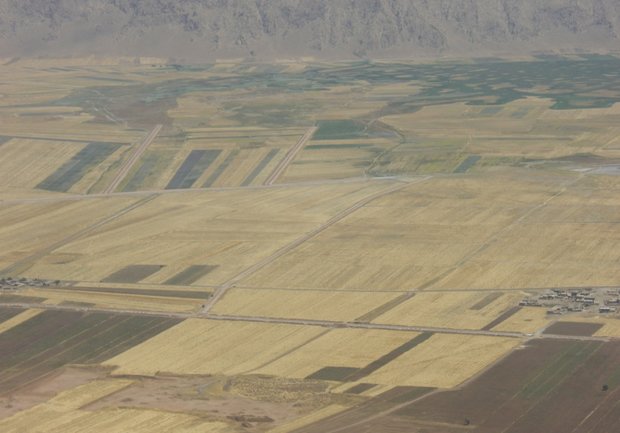 مازندران لنگرگاه اقتصاد کشاورزی/اوج گیری باروش های نوین و پهپادها