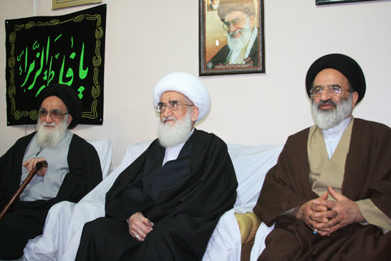 دیدار آیت الله العظمی نوری همدانی با آیت الله محمودی