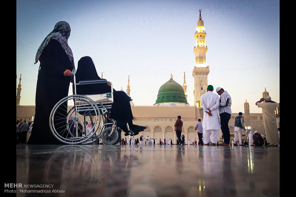پيامبر،پيكره،حرص،هدايت،حيات،حقيقت،قرار،اجزا،واژگان،امت،رسالت ...