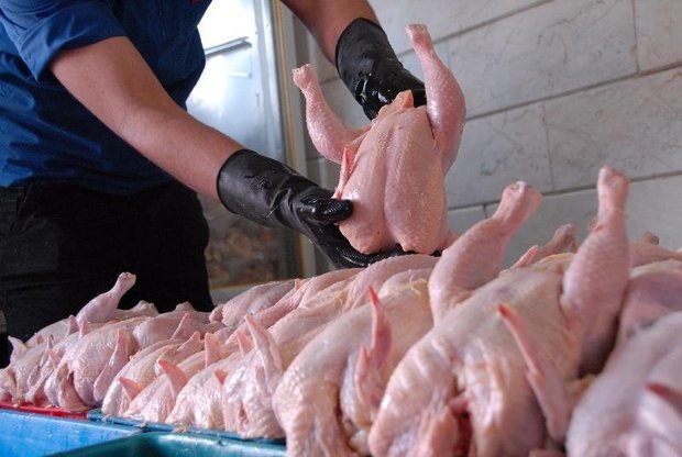 برای تحقق صادرات ۱۰۰ هزار تن گوشت مرغ برنامه ریزی شده است