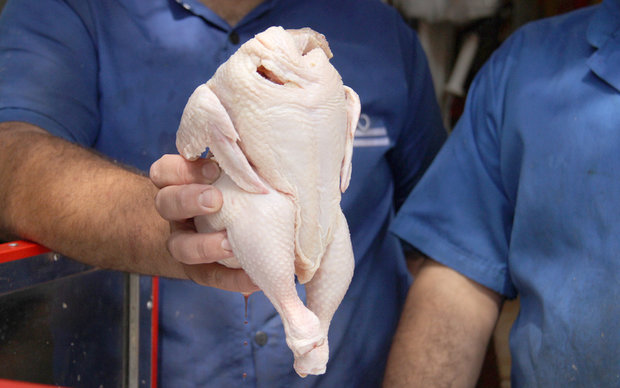 ۴۰ هزار تن گوشت مرغ از کشور صادر شد