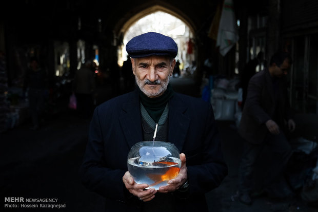 بازار فروش ماهی قرمز