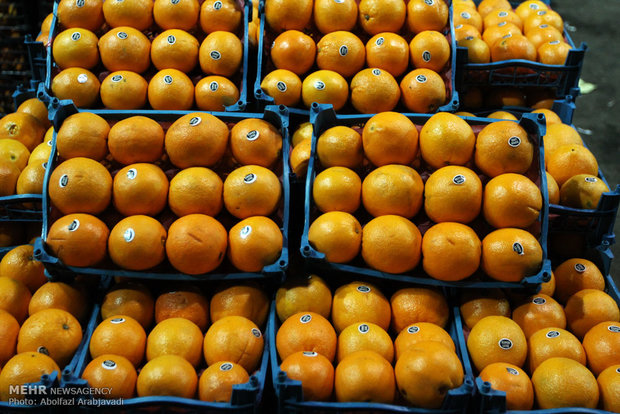 پرتقال شاه ‌میوه نوروز ۹۴/ مرغ همچنان ۸۵۰۰ تومان