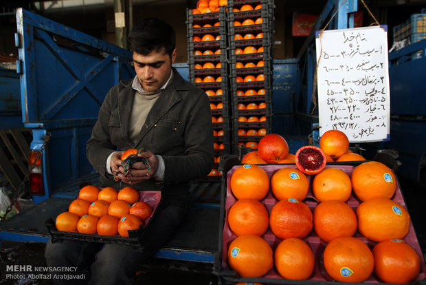 تحولات بازار میوه در آستانه نوروز/ پرتقال گران شد