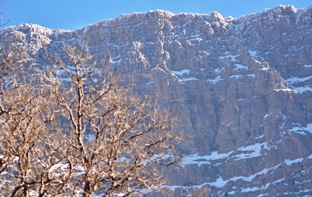 دنا سفید پوش شد/بارش اولین برف پاییزی