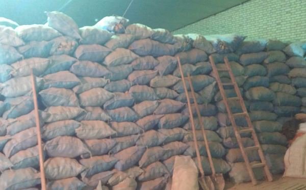 کشف ۱۵۰ تن سیبزمینی احتکار شده در هیدج