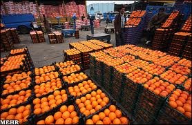 واردات ۲۰۰۰ تن پرتقال آلوده مصری با تخریب فَنس مرزی