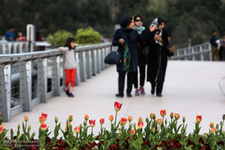 تهران ۲ هزار نقطه گردشگری دارد