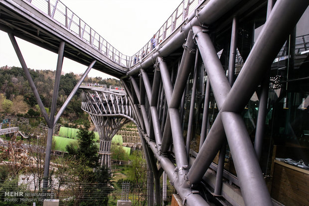 Nature Bridge in Tehran