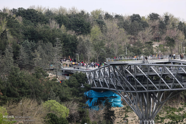 Nature Bridge in Tehran