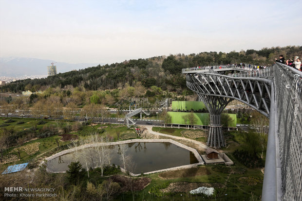 Nature Bridge in Tehran