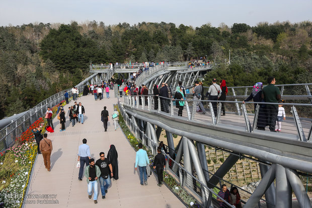 Nature Bridge in Tehran