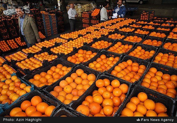 توزیع ۱۲۰۰ تن میوه در بازار همدان/استقرار ۱۳۴ غرفه برای توزیع