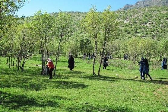 منطقه گردشگری جنگل فندقلوی نمین پاکسازی شد