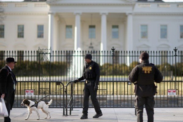 حریم امنیتی کاخ سفید یک بار دیگر شکست