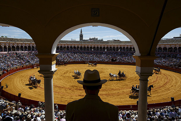 برگزیده عکسهای خبری ۳۱ فروردین ۹۴ برگزیده